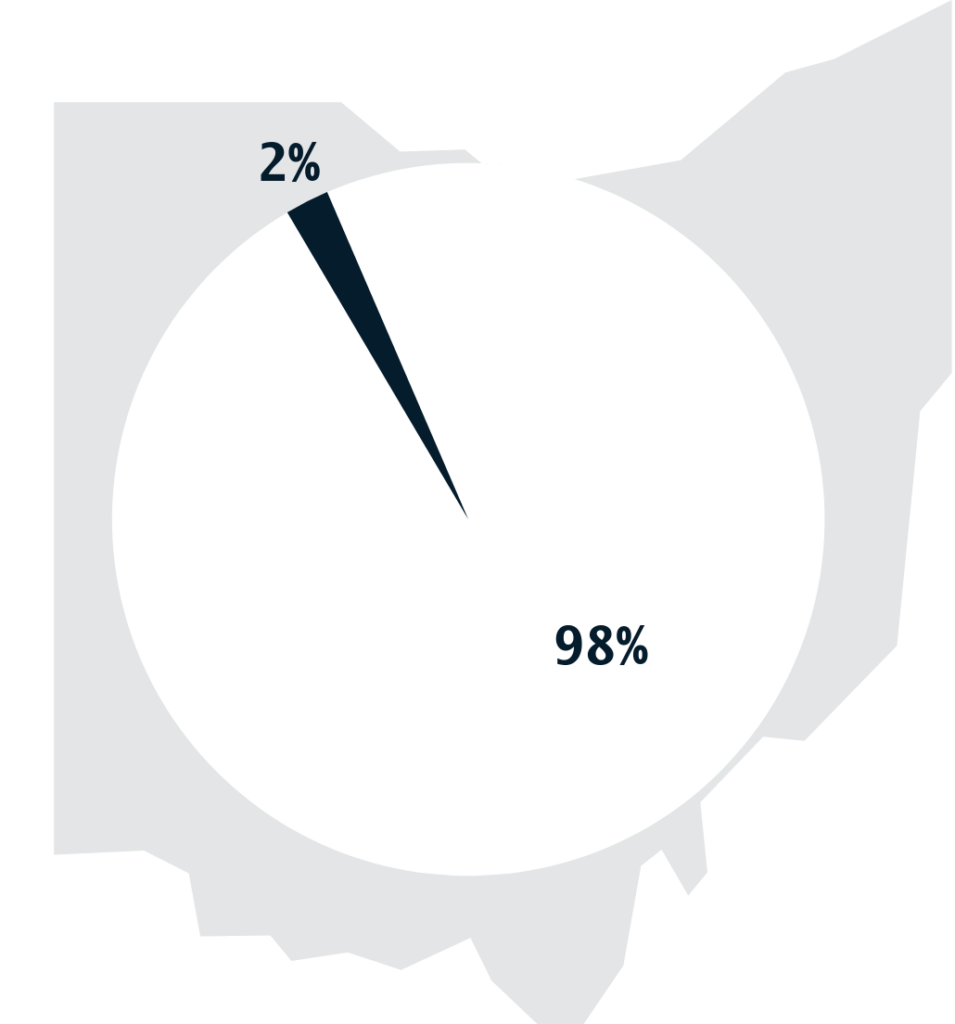 A pie chart with a large 98% white wedge and a small 2% dark blue wedge.